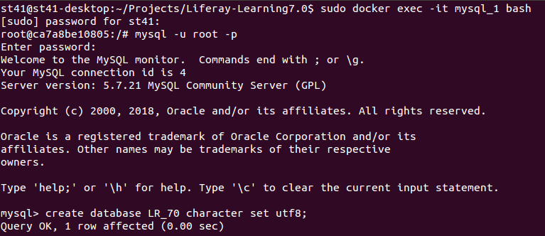 Docker with Liferay DXP