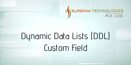 Liferay Dynamic Data Lists Custom Field
