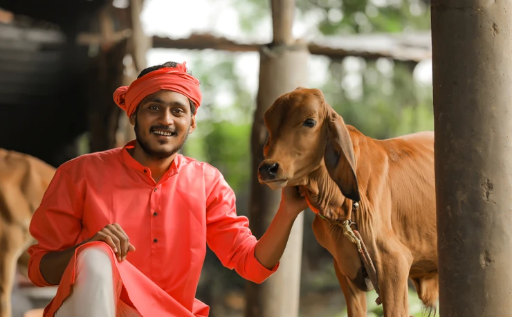 Website for Animal Welfare NGO in WordPress