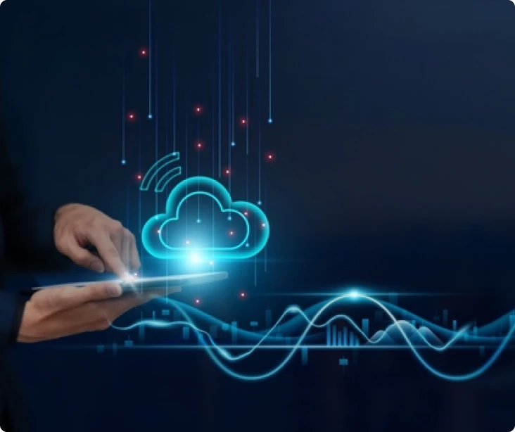 Flexible Deployment Options