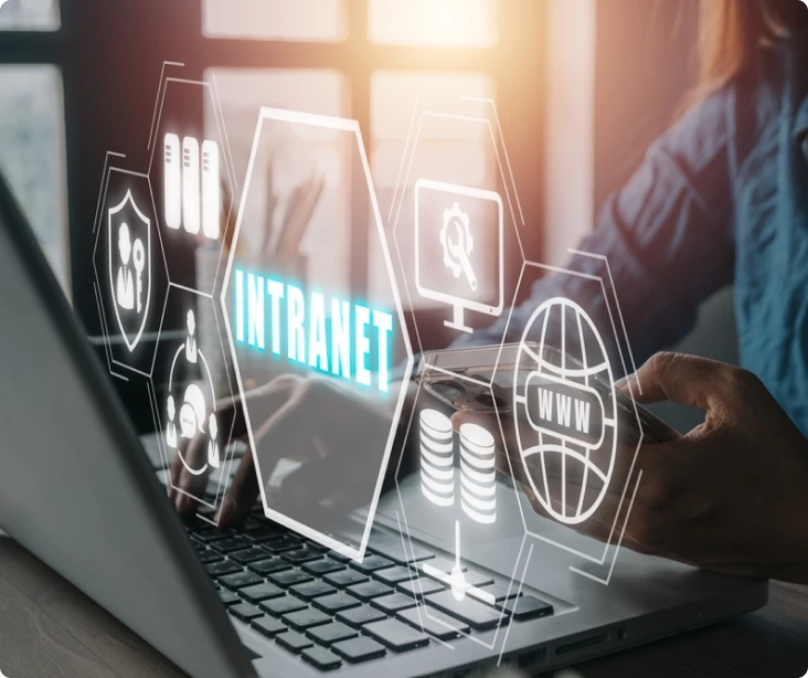 Public Websites and Intranet for International School