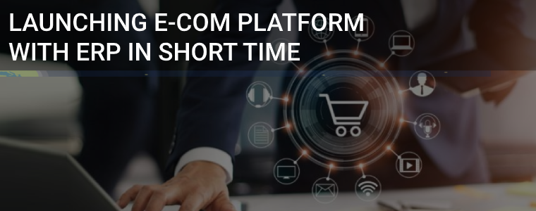 Launching eCom Platform With ERP In Short Time