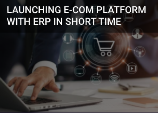 Launching eCom Platform With ERP In Short Time