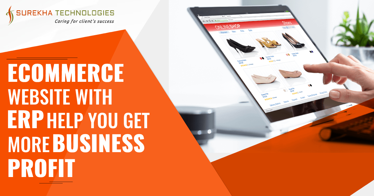 ecommerce website with erp