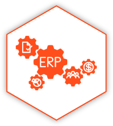 ERP System & Workflow Audit
