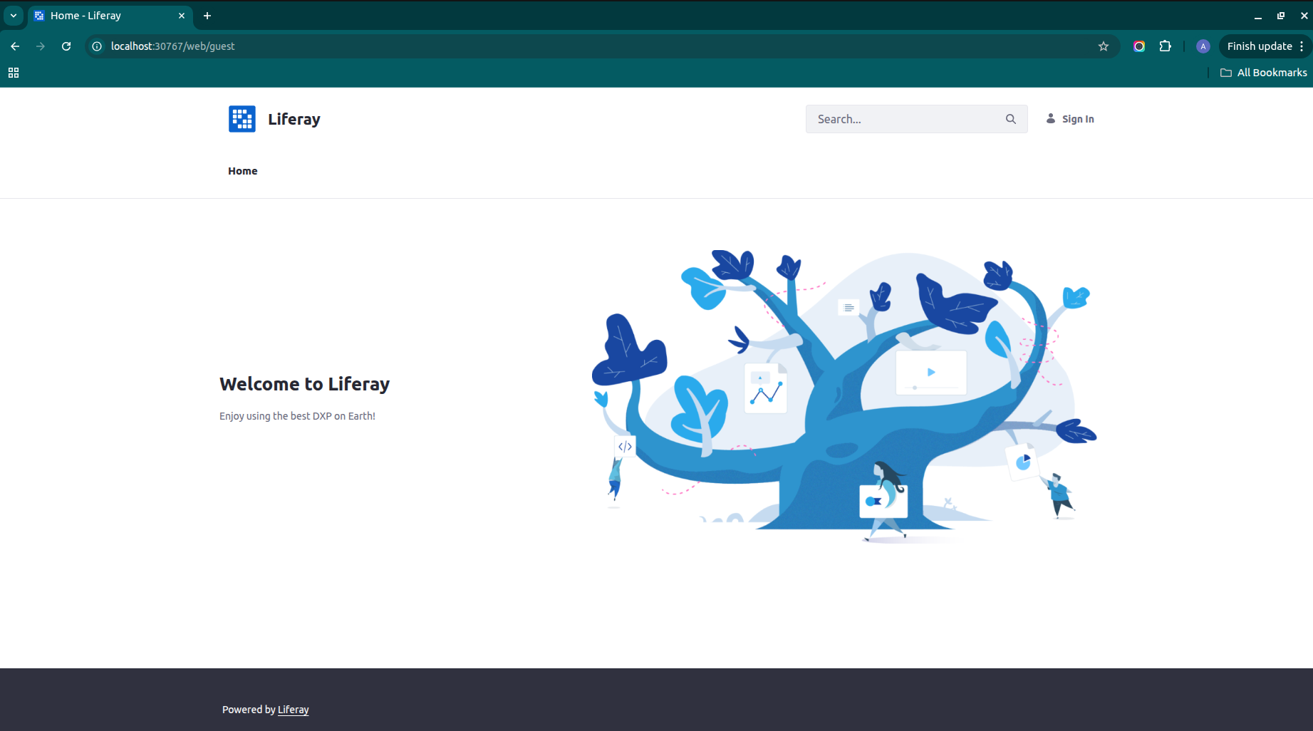 Access Liferay Local Host