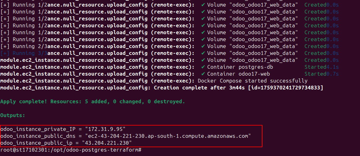 Accessing the Odoo Instance