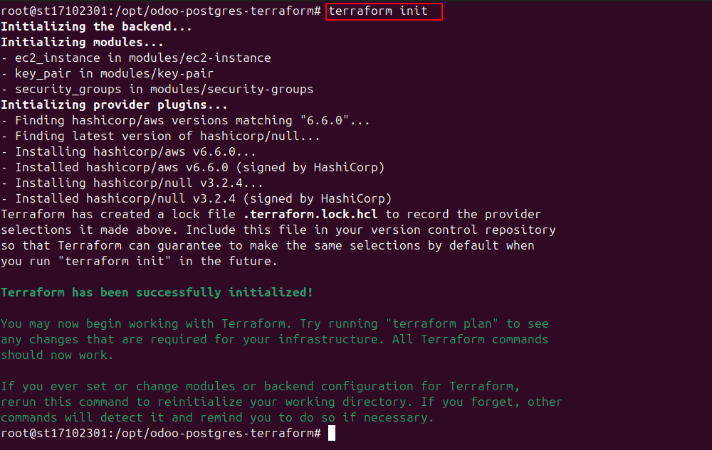 Apply the Terraform Configuration