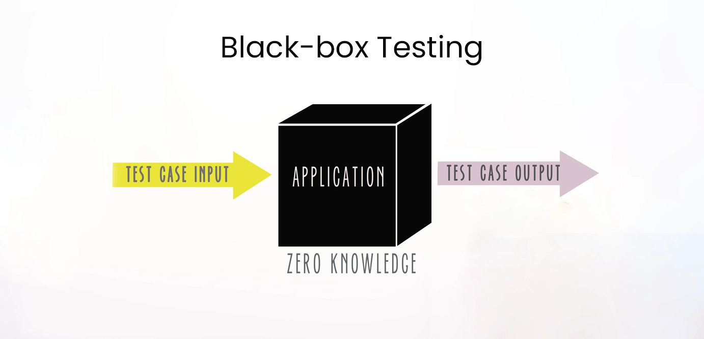 Black-box testing