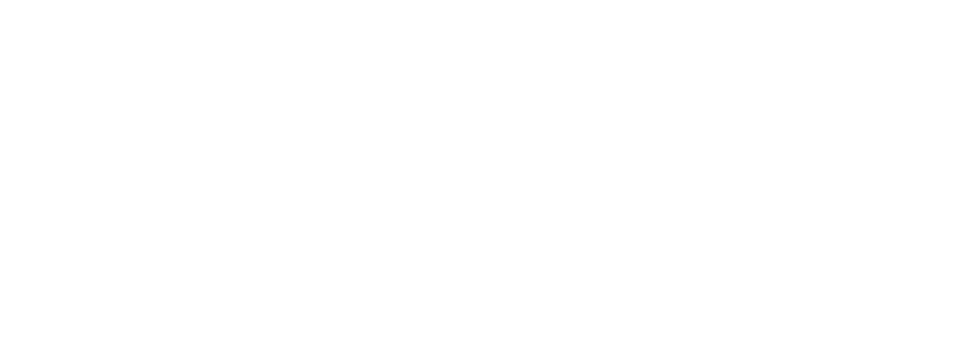 custom-sofware