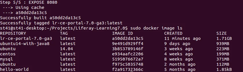 Docker with Liferay DXP
