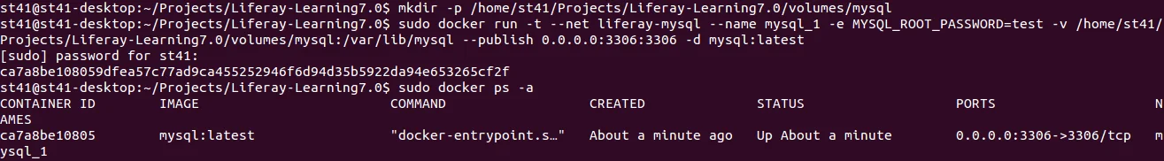 Docker with Liferay DXP