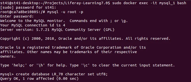 Docker with Liferay DXP
