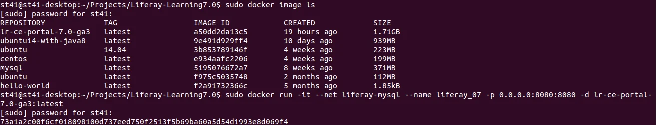 Docker with Liferay DXP