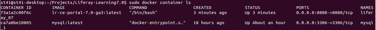 Docker with Liferay DXP