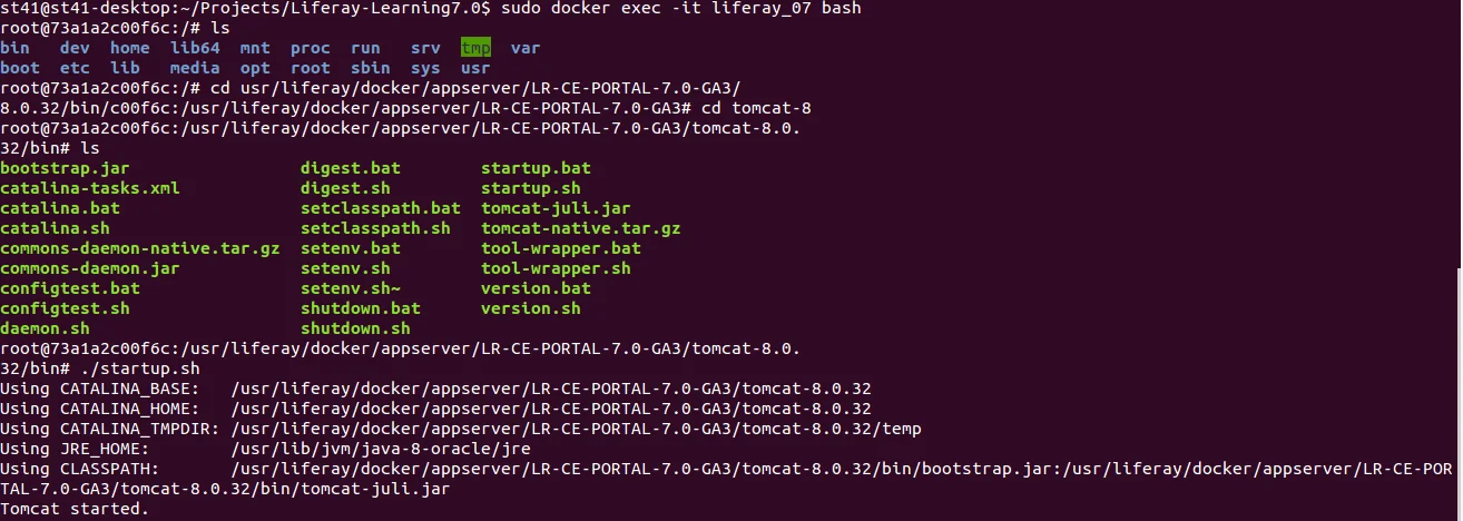 Docker with Liferay DXP