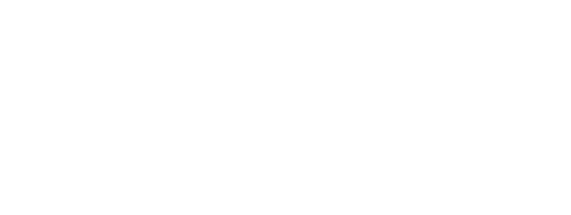 ERP Implementation Services