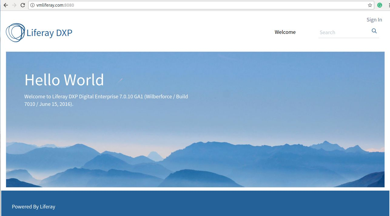 Liferay Portal Setup on Virtual Machine