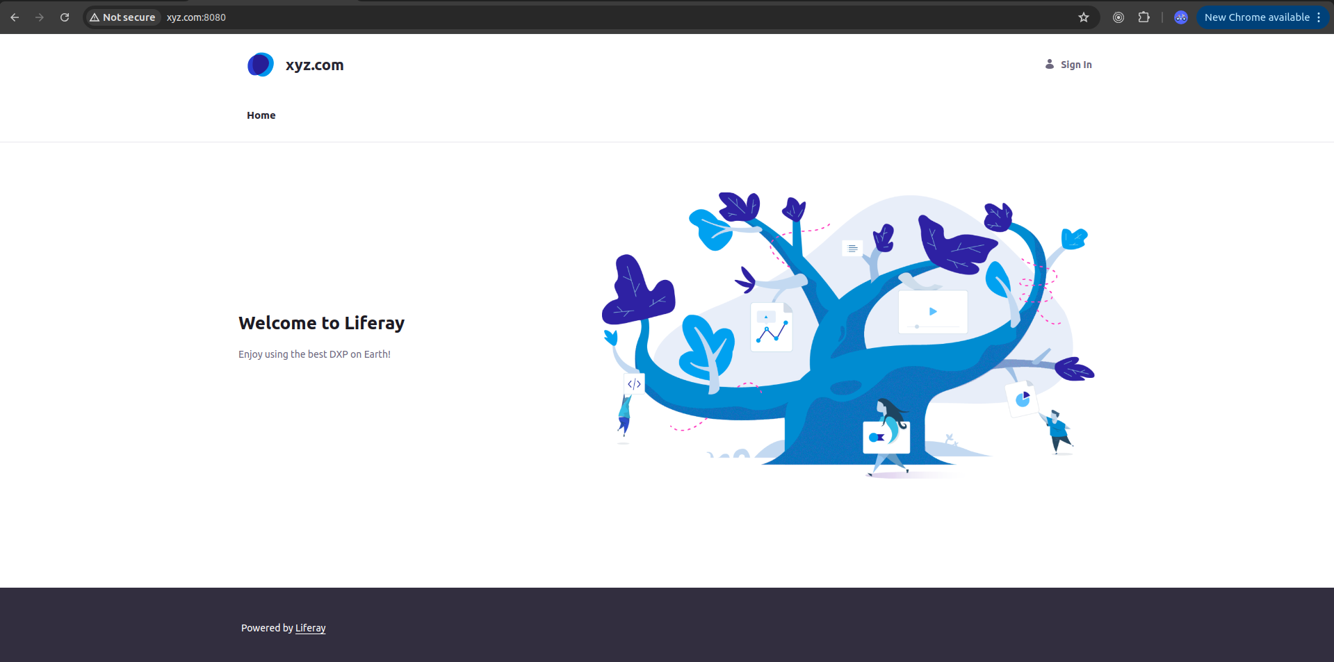 Virtual instance in LIferay