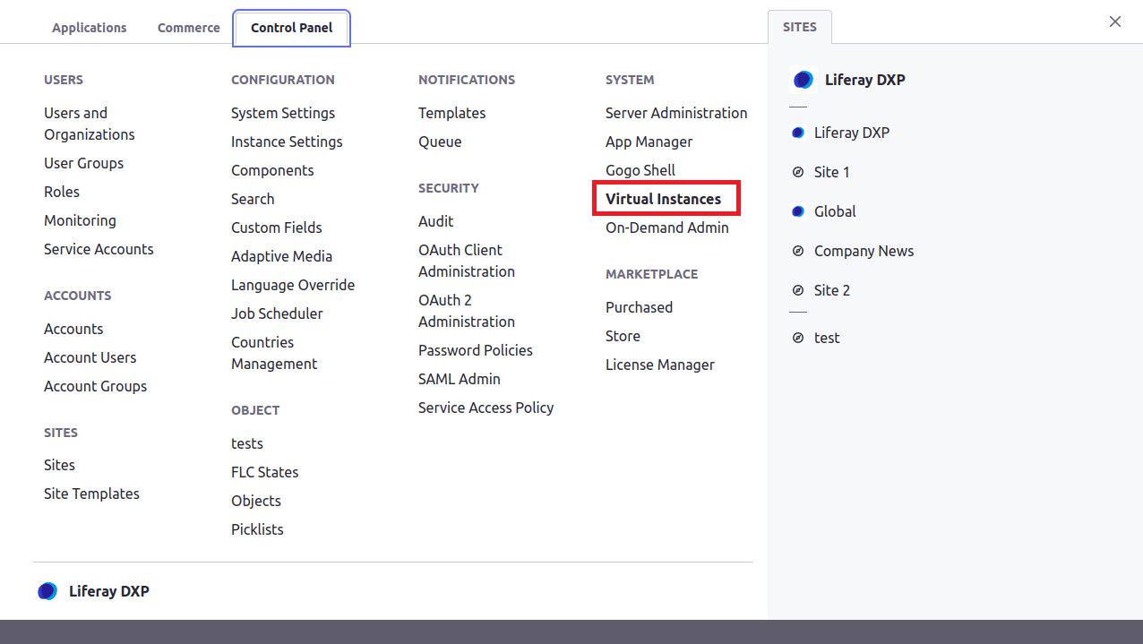 Virtual instances