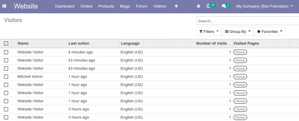 Website Visitor in Odoo 13