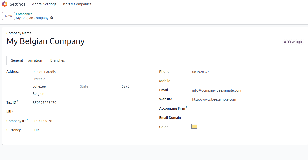 Odoo Multi-Company Setup