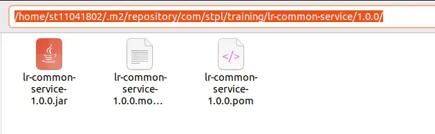 local-maven-repository