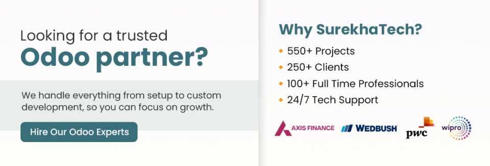 Odoo partner