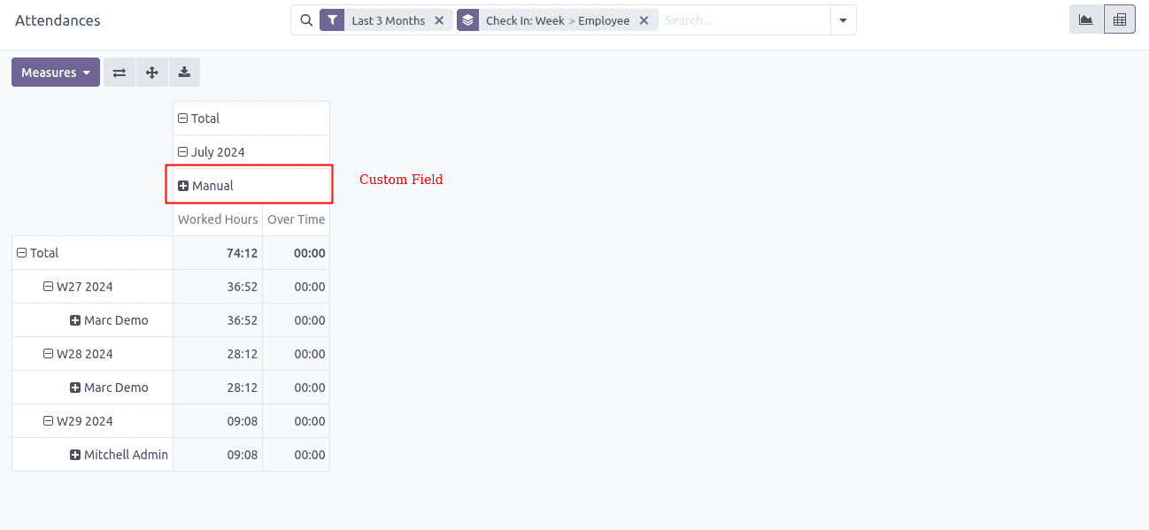 Custom Field Added in Pivot View